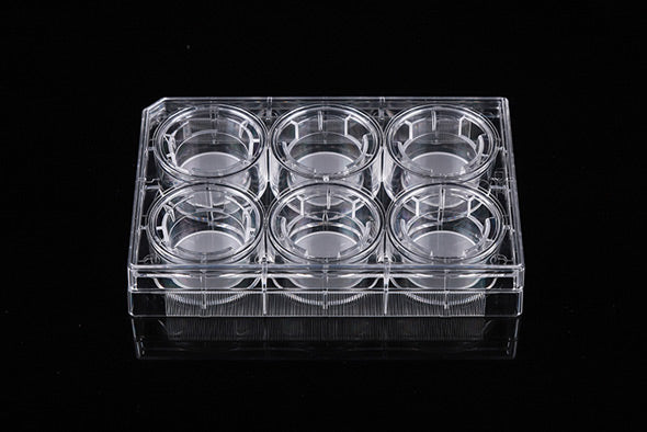 12 Cell Culture Inserts+24 Well Plate, 1.0 μm, PET Membrane, Opaque, TC, Sterile, 12/pk, 48/cs