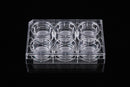 12 Cell Culture Inserts+24 Well Plate, 8.0 μm, PET Membrane, Transparent, Non-Treated, Sterile, 12/pk, 48/cs