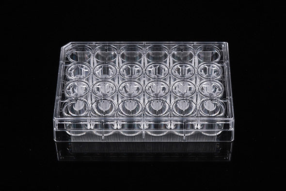 12 Cell Culture Inserts+12 Well Plate, 3.0 μm, PET Membrane, Translucent, TC, Sterile, 12/pk, 48/cs