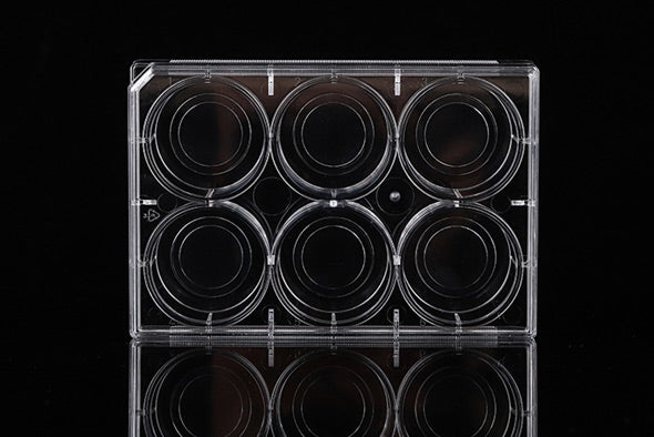 Glass Bottom Cell Culture Dish,Φ 15mm,TC, sterile 10/pk, 200/cs