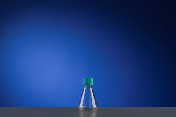 250 mL PC Conical Erlenmeyer Flasks, Flat Bottom, Vent Filter Caps, Sterile,1/pk, 12/cs