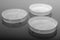 100 x 20 mm Petri Dish, Sterile, 20/pk, 300/cs