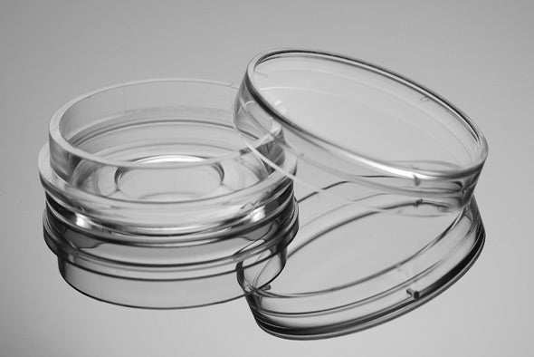 Glass Bottom Cell Culture Dish,Φ 20mm,TC, sterile 10/pk, 200/cs