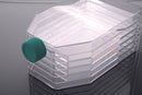 5-Layer Cell Culture Flask,Vent Cap, Straight Neck, TC, Sterile, 1/pk, 8/cs Cat.No.：731002