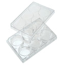 6 Well Tissue Culture Plate, Sterile