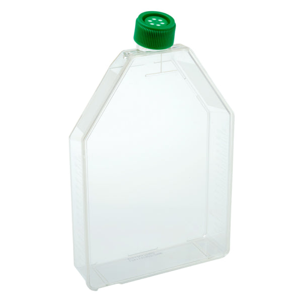 300cm2 Tissue Culture Flask - Vent Cap, Sterile