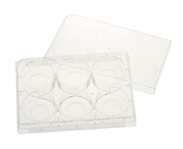 6 Well Glass Bottom Tissue Culture Plate, 20mm Glass, Sterile