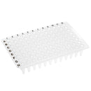 96 Well PCR Plate, No Skirt, Clear, 0.2mL