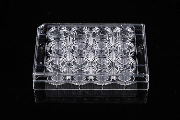 12 Cell Culture Inserts+24 Well Plate, 3.0 μm, PC Membrane, Translucent, Non-Treated, Sterile, 12/pk, 48/cs